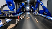 selma sorteringsrobot